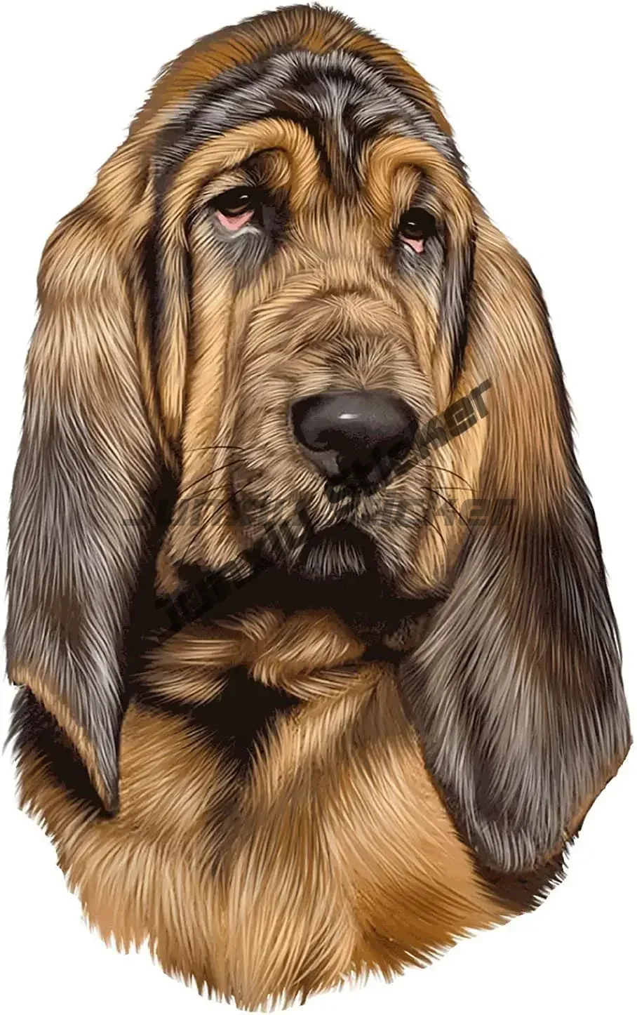 Car Stickers Funny Bloodhound  - Laptop Accessories Brand 리뷰 및 가격