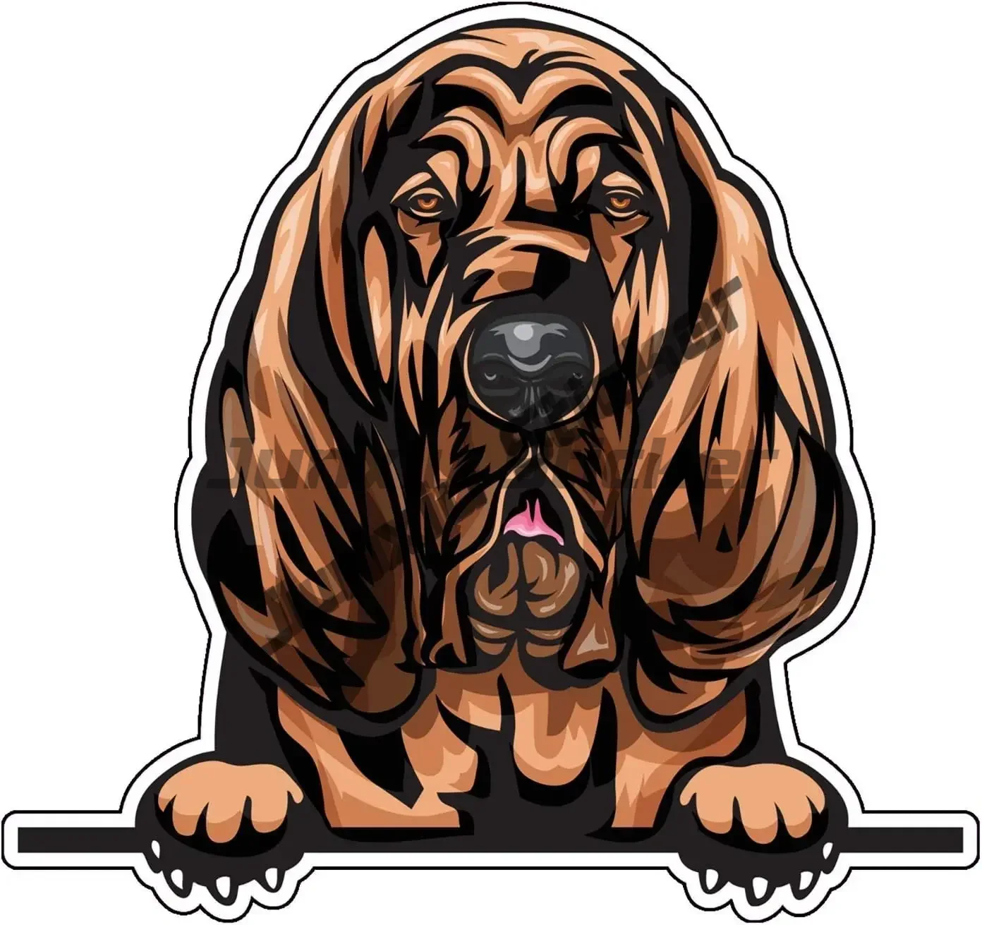 Car Stickers Funny Bloodhound  - Laptop Accessories Brand 리뷰 및 가격