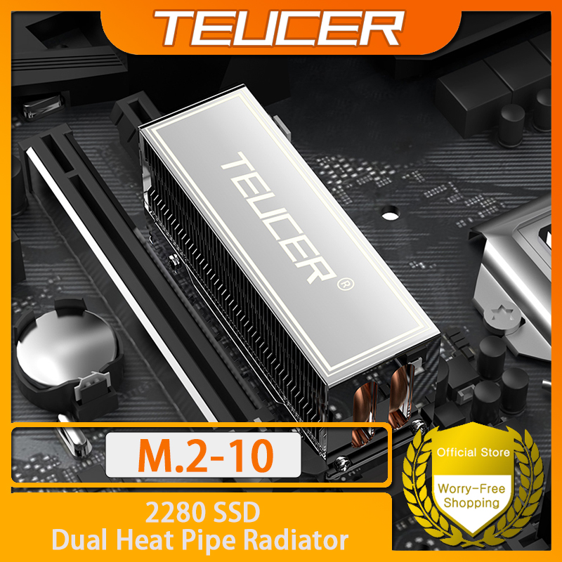 TEUCER M.2 SSD Heat Sink M2 22 - External Nvme Ssd 리뷰 및 가격